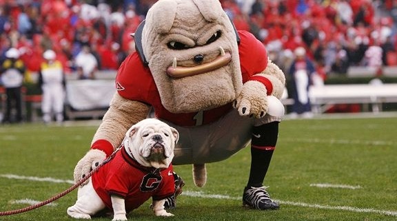 UGA headband